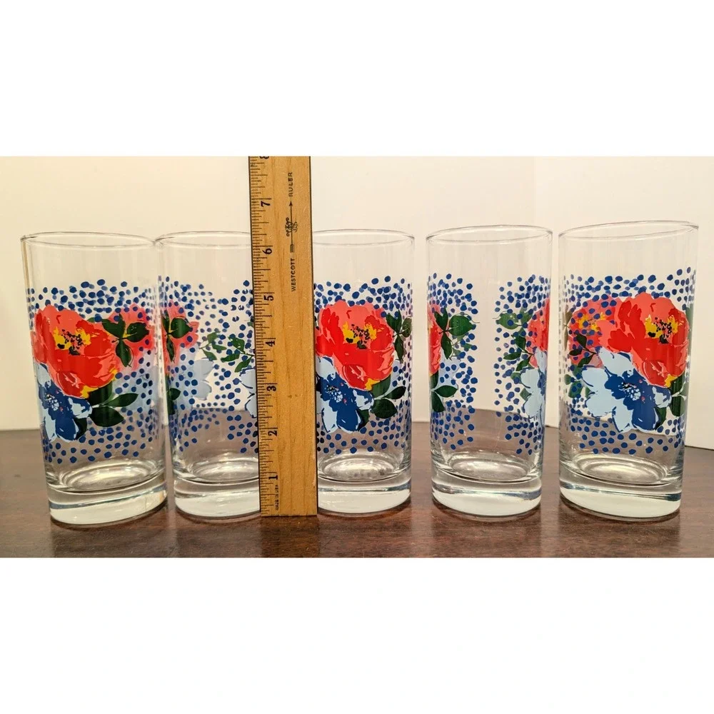Pioneer Woman Floral Drinking Glasses Set of 5 Red Blue Flowers Polka Dot 6in